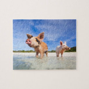 Zwei kleine Ferkel Puzzle