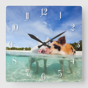 Zwei kleine Ferkel Quadratische Wanduhr
