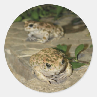 Zwei kleine Kröten - grüner Froschdruck Runder Aufkleber