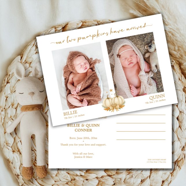Zwei kleine Kürbisse Zwillings-Baby-Fotoankündigun Ankündigung (Von Creator hochgeladen)