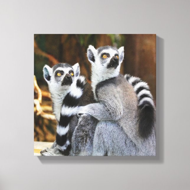 Zwei kleine Lemurs Leinwanddruck (Vorderseite)
