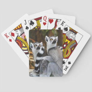 Zwei kleine Lemurs Spielkarten