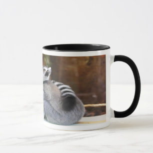 Zwei kleine Lemurs Tasse