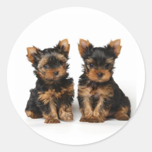 Zwei kleine Supermärkte Runder Aufkleber