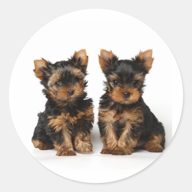 Zwei kleine Supermärkte Runder Aufkleber (Vorderseite)