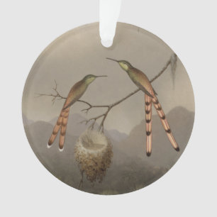 Zwei Kolibris mit ihren Jungen Ornament