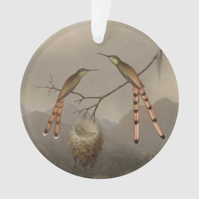 Zwei Kolibris mit ihren Jungen Ornament (Vorderseite)