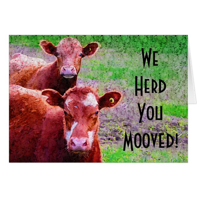 Zwei Kühe leben wir Sie Mooved in Herden! (Vorderseite (Horizontal))