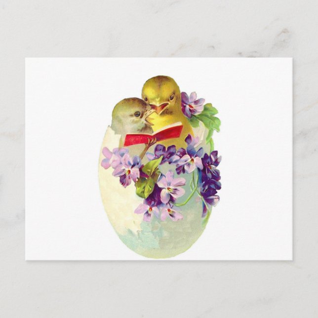 Zwei Küken in der Ei-Muschel singen vom Songbook Postkarte (Vorderseite)