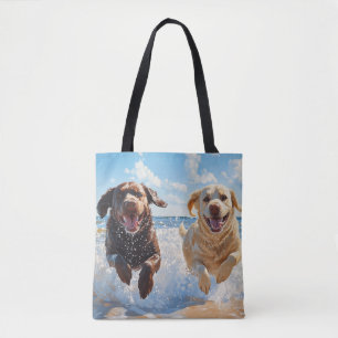 Zwei Labrador Retriever am Strand