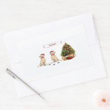 Zwei Labrador Retrievers Funny Christmas Dog