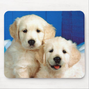 Zwei Labrador-Welpen Mousepad