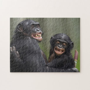 Zwei lächelnde Bonobos Puzzle