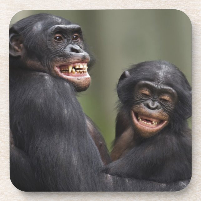Zwei lächelnde Bonobos Untersetzer (Vorderseite)