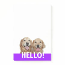 Zwei lächelnde Golden Retriever Hunde Hallo