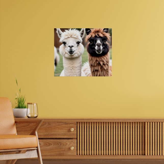 Zwei Lamas Poster (Wohnzimmer 2)