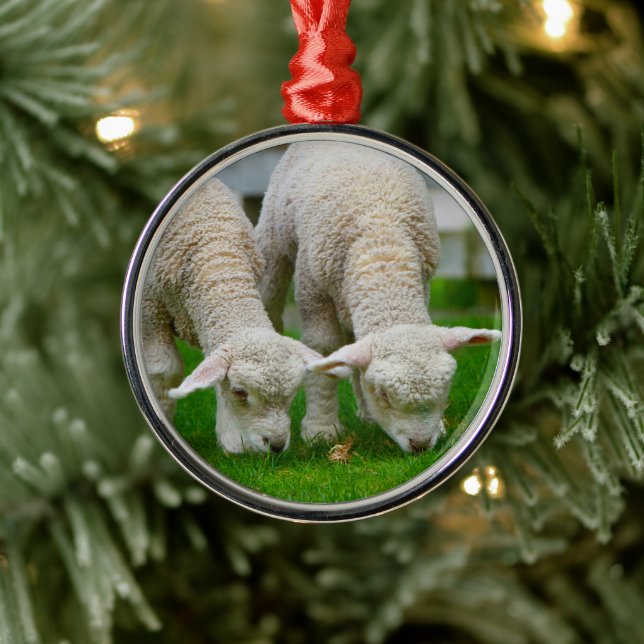 Zwei Lämmer Weiden Silbernes Ornament (Baum)