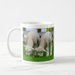 Zwei Lämmer Weiden Tasse