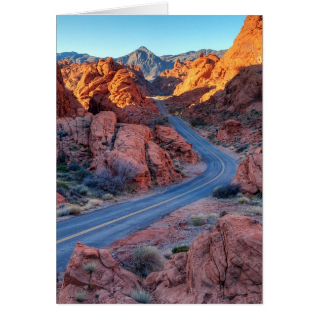 Zwei Lane Splendor (Vorne)