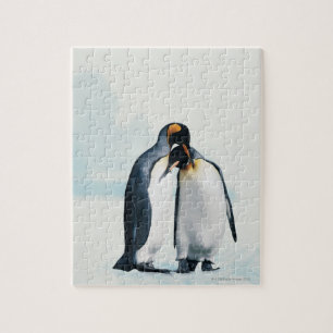 Zwei liebevolle Pinguine Puzzle