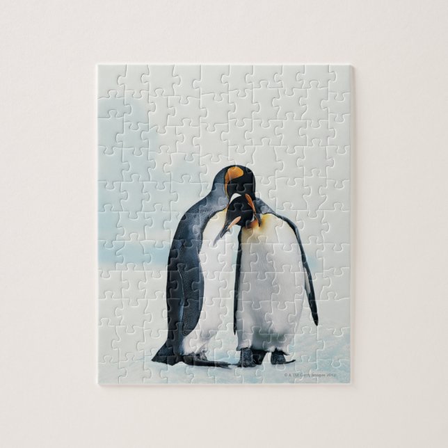Zwei liebevolle Pinguine Puzzle (Vertikal)