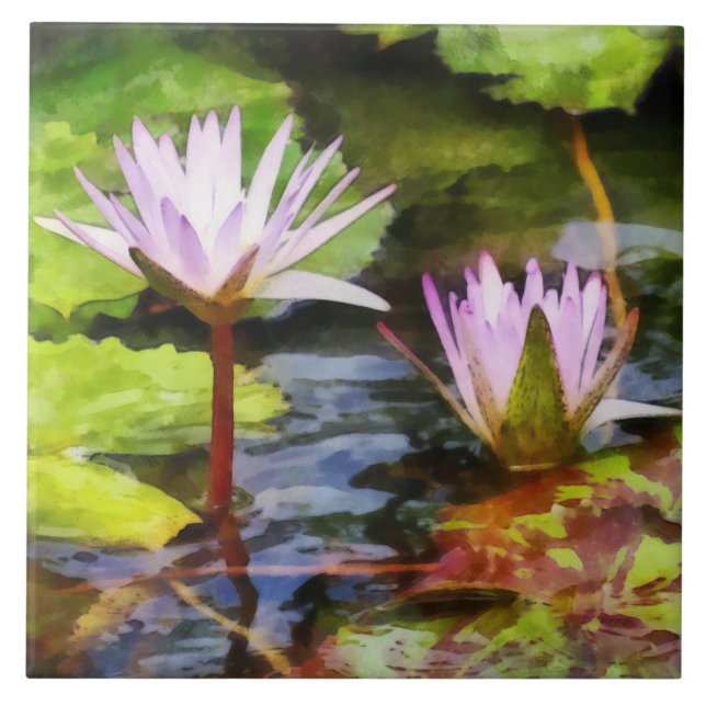Zwei Lila Lotus Fliese (Vorderseite)