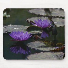 Zwei Lila Lotus-Wasserlilien-Mauspad Mousepad