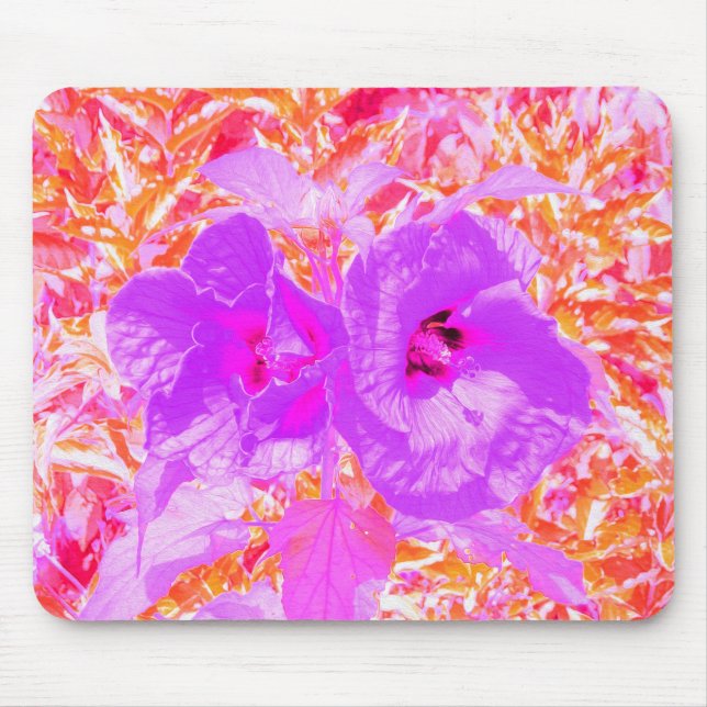 Zwei Lila und heiße Pink Pum Crazy Hibiskus in Rot Mousepad (Vorne)