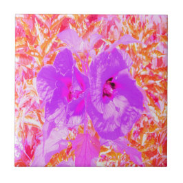Zwei Lila und heiße rosa Pollen Crazy Hibiskus Fliese