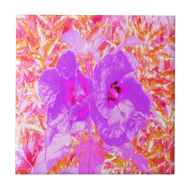 Zwei Lila und heiße rosa Pollen Crazy Hibiskus Fliese (Vorderseite)