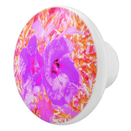Zwei Lila und heiße rosa Pollen Crazy Hibiskus Keramikknauf
