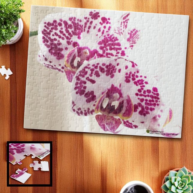 Zwei Lila und weiße tropische Orchideenfotos Puzzle (tropical orchid jigsaw puzzle 252 piece, ll" x 14" )