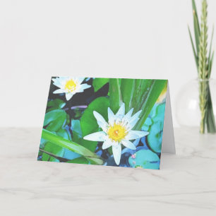 ZWEI LOTUS BLUME GREETKARTE KARTE