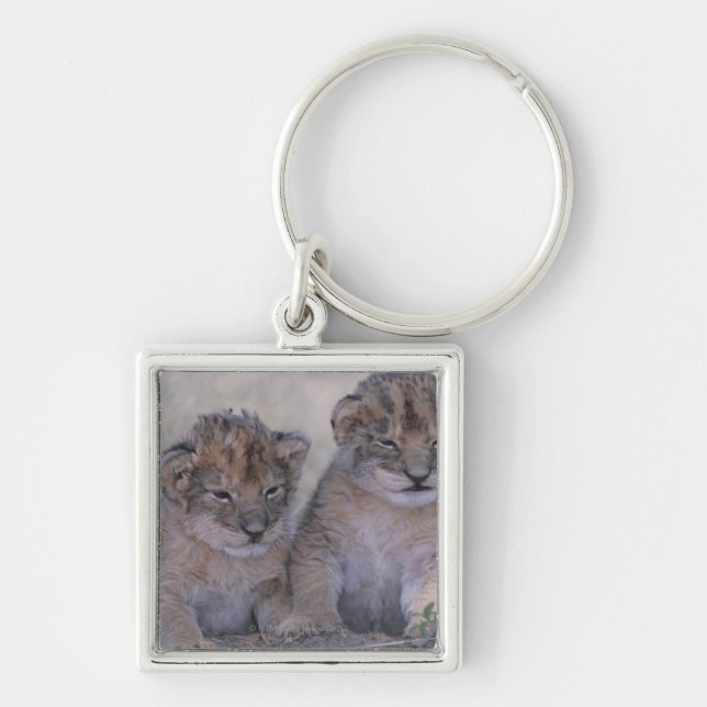 Zwei Löwe CUB Schlüsselanhänger (Vorne)