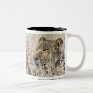 Zwei Löwen versteckt im trockenen Gras, Kruger Zweifarbige Tasse