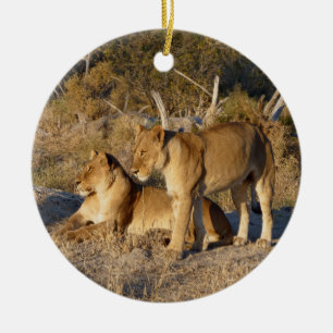 ZWEI LÖWINNEN ZUSAMMEN KERAMIK ORNAMENT