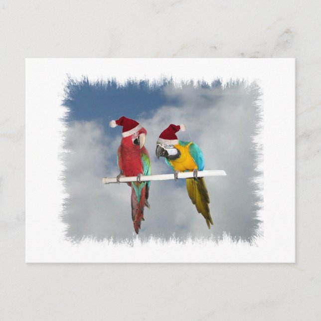 Zwei Macaw Santas Feiertagspostkarte (Vorderseite)