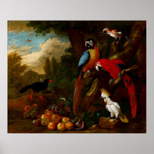Zwei Macaws ein Cockatoo und eine Jay mit Obst Poster