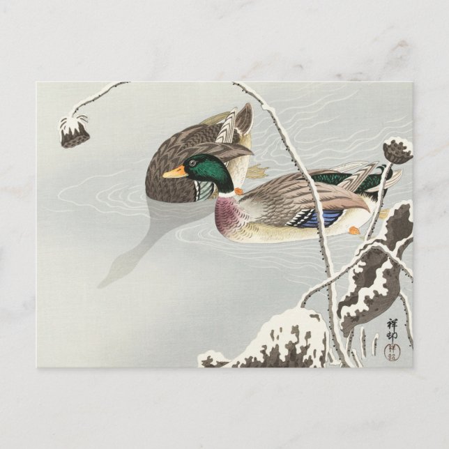 Zwei Mallards in der Nähe einer schneebedeckten Lo Postkarte (Vorderseite)