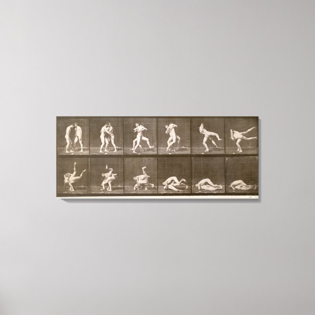 Zwei Männer Wrestling, Platte 347 von 'Animal Loco Leinwanddruck (Vorderseite)