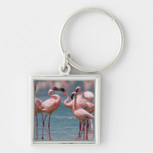 Zwei männliche Zwergflamingos (Phoenicopterus Mino Schlüsselanhänger