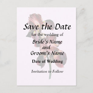 Zwei Maroon und Gelbe Ire Ankündigungspostkarte