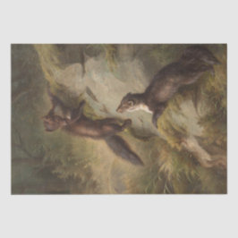 Zwei Martens auf einem Stein im Wald Seidenpapier