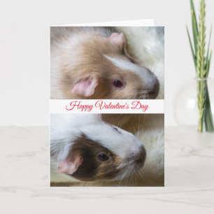 Zwei Meerschweinchen Valentinstagskarte Feiertagskarte