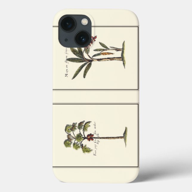 Zwei Miniaturpalmen Gerahmt Case-Mate iPhone Hülle (Rückseite)