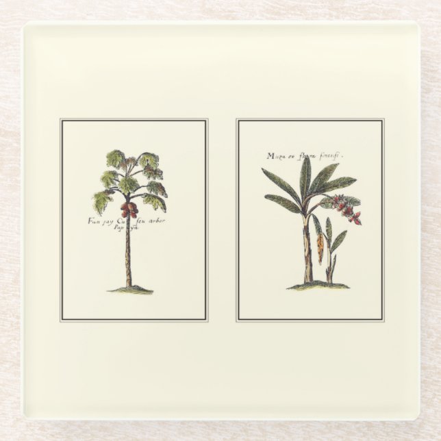 Zwei Miniaturpalmen Gerahmt Glasuntersetzer (Vorderseite)