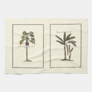 Zwei Miniaturpalmen Gerahmt Küchentuch