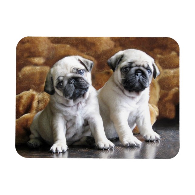 Zwei Mops Magnet (Horizontal)
