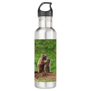 Zwei Murmeltiere Edelstahlflasche
