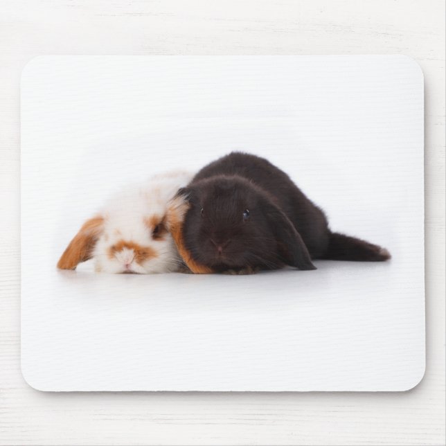 Zwei niedliche Babyhäschen Mousepad (Vorne)